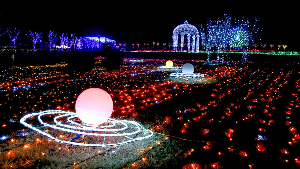 夢幻夜景秀花海 萬盞華燈迎新年