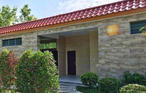 鄉村廁所“變形記”