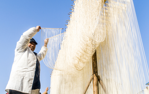 傳統挂面飄香致富路