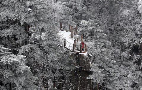 合肥楼盘广告一脱到底被罚80万元
