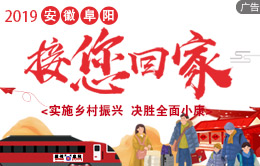 2019年安徽阜陽“接您回家”