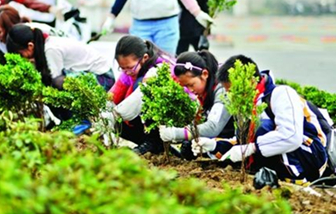 合肥公布69项义务植树活动