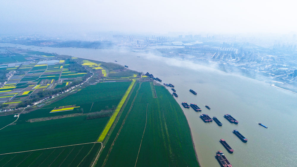 航拍：三月芳菲始 江上春意濃