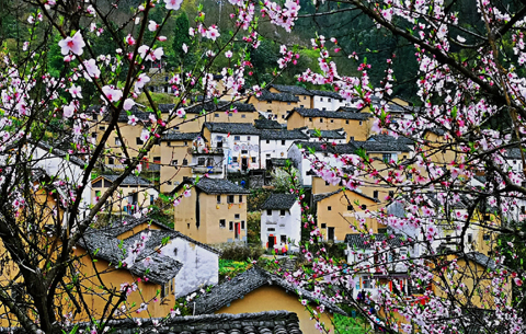 這就是春天的皖南!