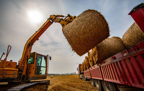 小麥收割、秸稈回收“一條龍”