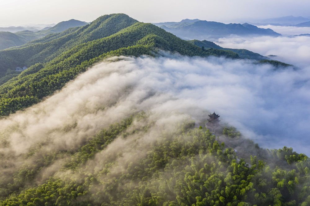 航拍:雲如瀑布落 竹深隱山居