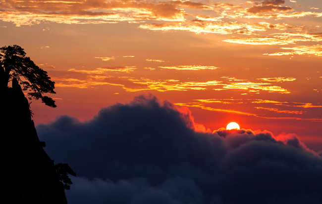 完美!日出雲海共生 奇松怪石同框