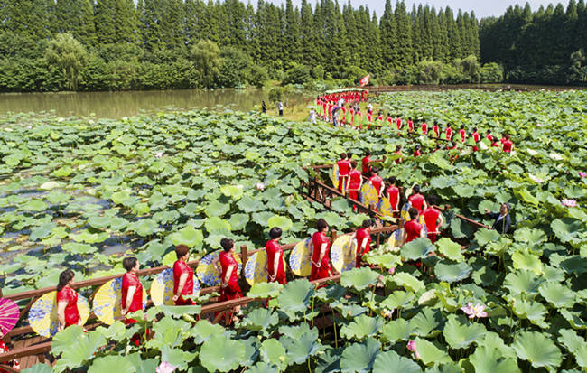 航拍:夏日花海旗袍秀