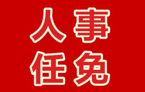 阜阳市人大常委会任免名单