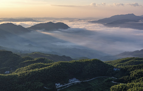 巍巍大別山 雲海繞峰間