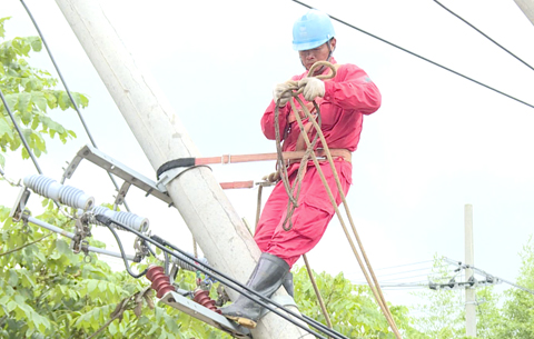 微视频：安徽宣城受灾地区电网基本恢复供电