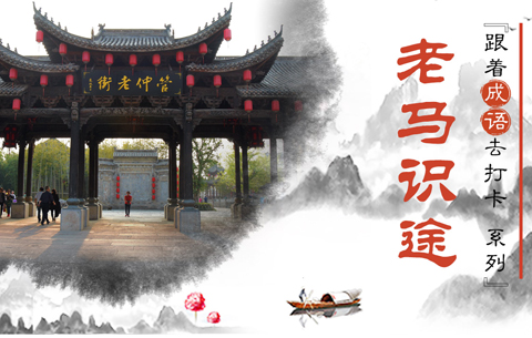 跟著成語去打卡:老馬識途