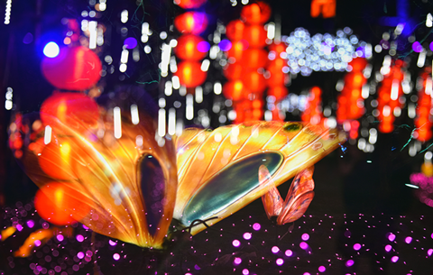 赏花灯 年味浓