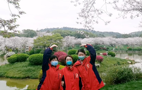 Vlog：真美！我们看到了武汉樱花