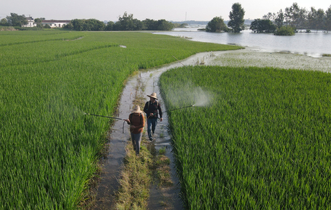 水退人進田管忙
