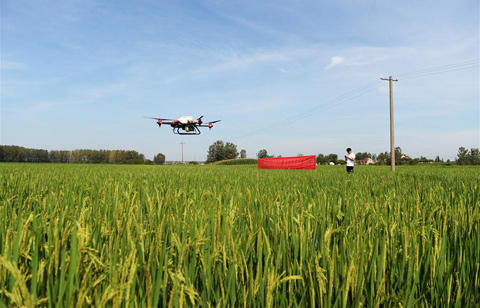 安徽肥東：恢復生産 災後自救