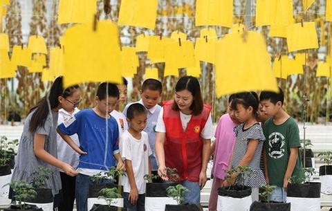 親近自然 體驗田園