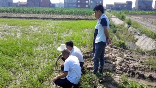 災後生産自救 安徽農業氣象人在一線