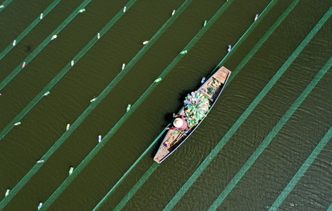【&ldquo;飛閱&rdquo;中國】水鄉養珍珠 帶富一方人