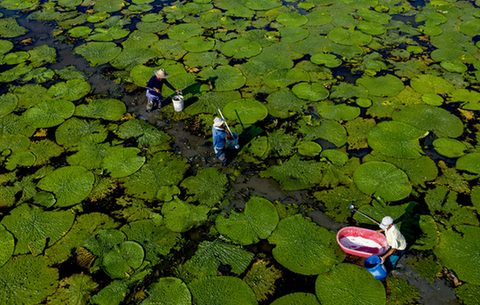 【&ldquo;飛閱&rdquo;中國】水退一寸 地搶一分