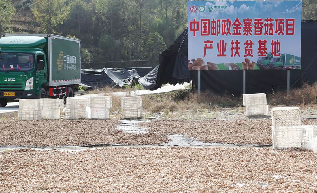 产业扶贫奔小康