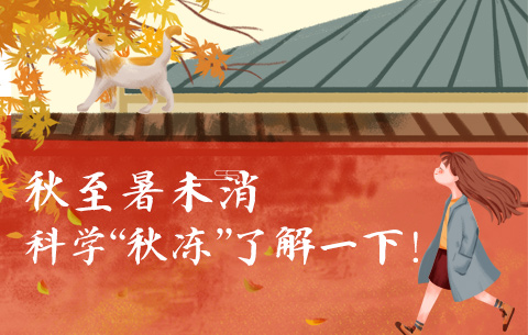 秋至暑未消，科學&ldquo;秋凍&rdquo;了解一下！