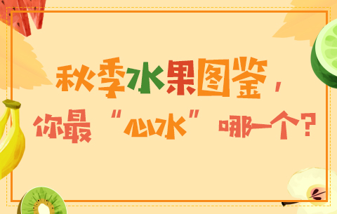 秋日水果圖鑒，你最&ldquo;心水&rdquo;哪一個？