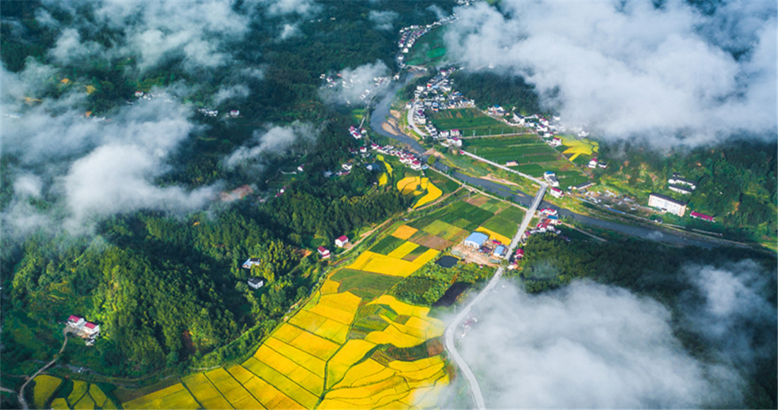 【“飛閱”中國】雲上山鄉浸秋色