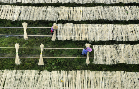 【&ldquo;飛閱&rdquo;中國】&ldquo;點竹成金&rdquo;富了鄉親