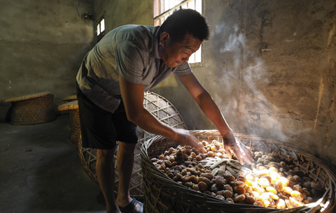 千年古鎮 棗香四溢