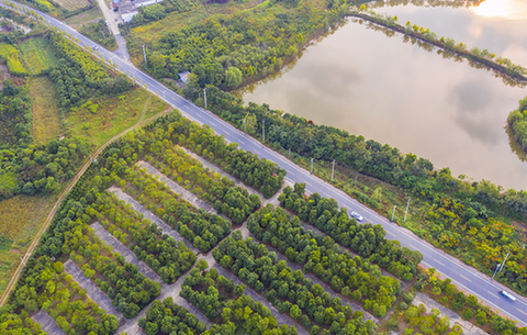 【&ldquo;飛閱&rdquo;中國】生態鄉村入畫來