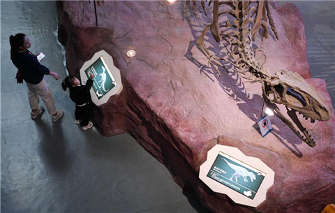 合肥:博物館裏度假期