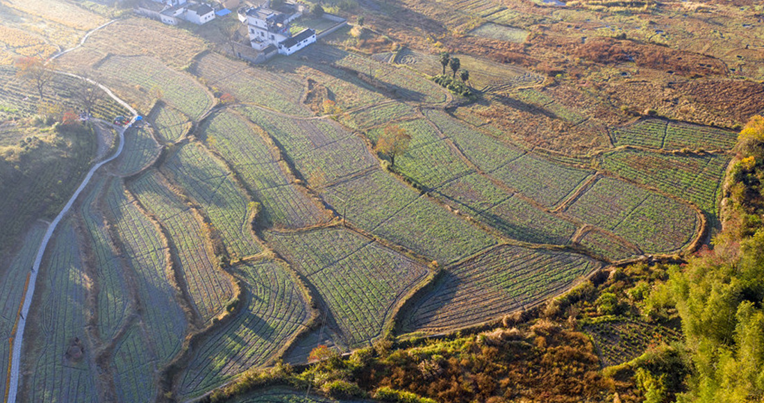 【“飞阅”中国】初冬塔川景美如画