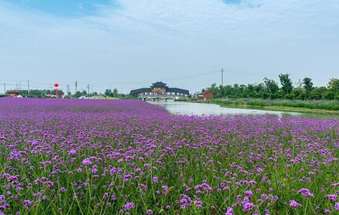 【新春走基层】滁河岸边新年景