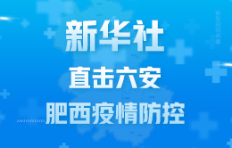 新华社直击六安、肥西疫情防控