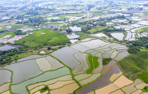 【“飞阅”中国】沃野千里 大地诗行