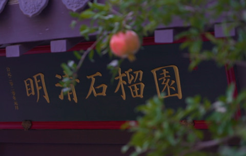 【皖美这五年】百年古石榴焕发新生机