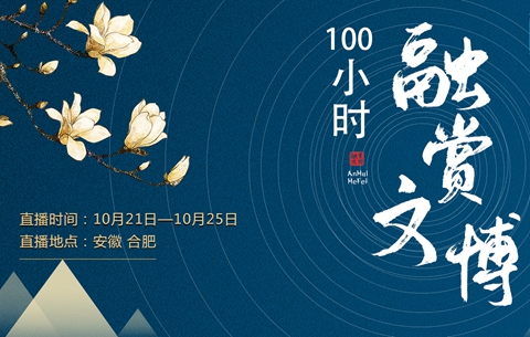 【新华云直播】100小时“融赏文博”