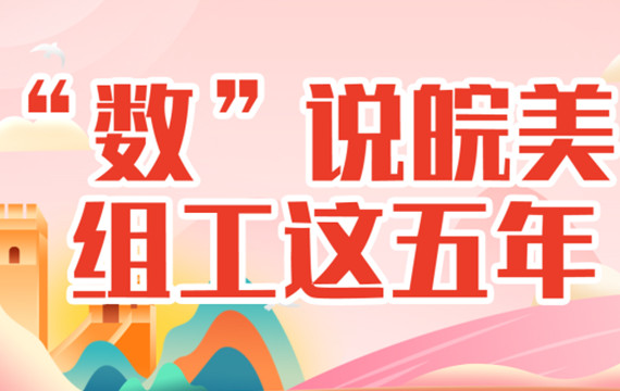 【MG动画】“数”说皖美组工这五年