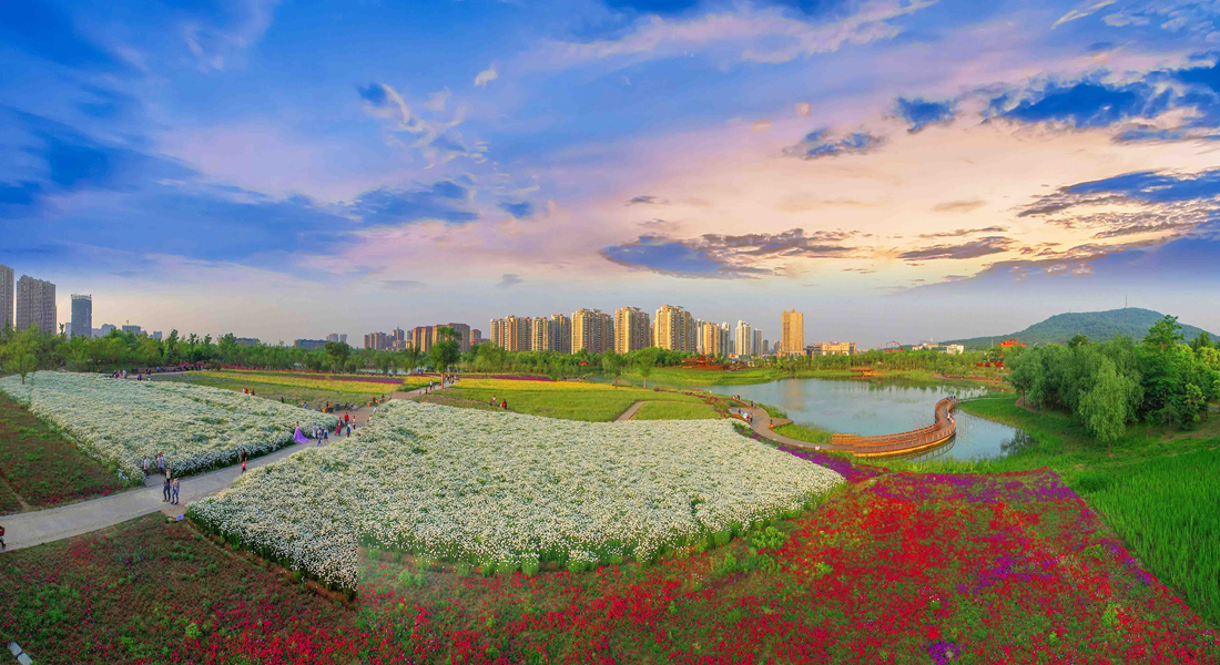 四季花海