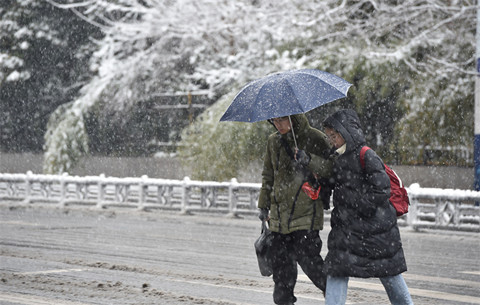 上班首日 雪落庐州