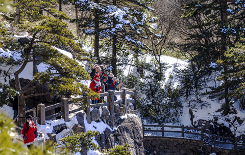 银装素裹！黄山春雪分外娇