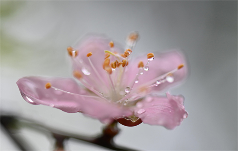 好雨知时节