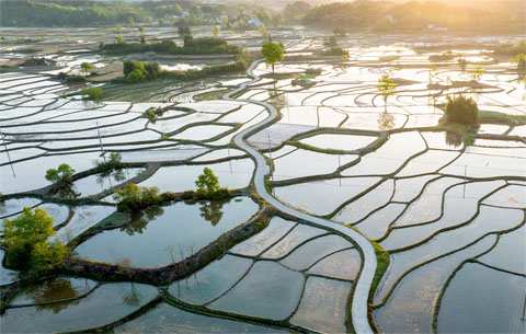 云上梯田 蓄水成画