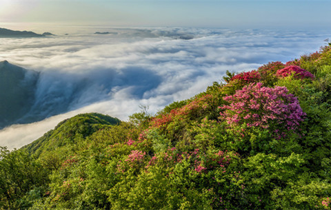 【“飞阅”中国】高山流云 岭上花红