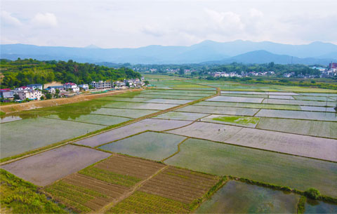 【“飞阅”中国】夏日田园 缤纷如画