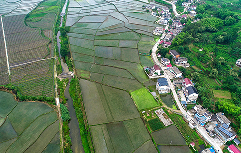 【“飞阅”中国】夏日田园 绿色画卷