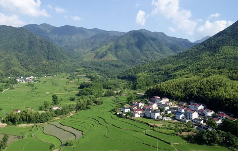 【“飞阅”中国】补秧耘田 景美如画