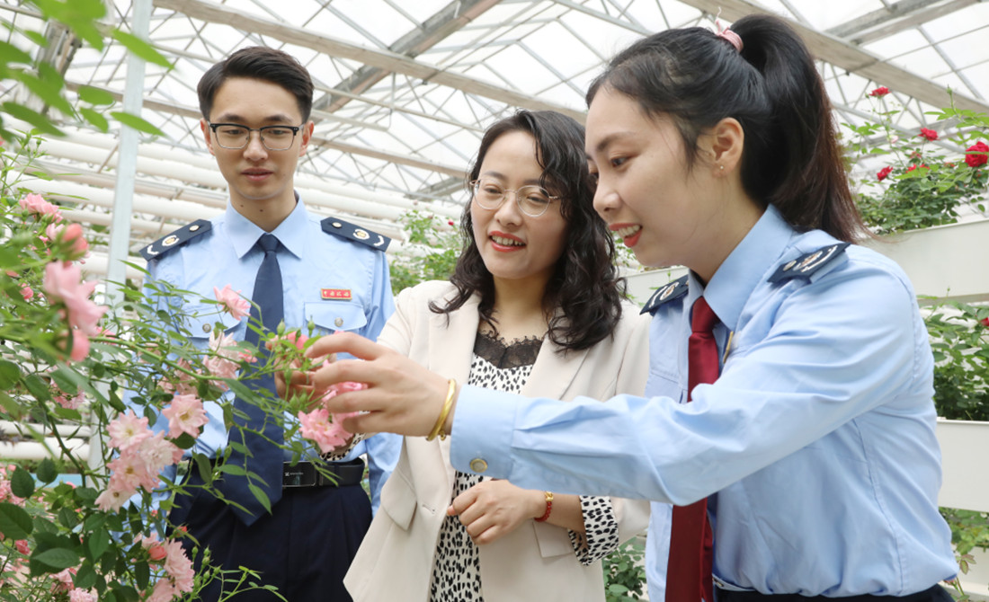 税务干部参观种植基地