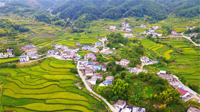 【“飞阅”中国】梯田秋景美如画